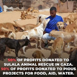 Animal Rescue Heavyweight Tee -Aurora Style Shop animal rescue heavyweight tee wear the peace 462512