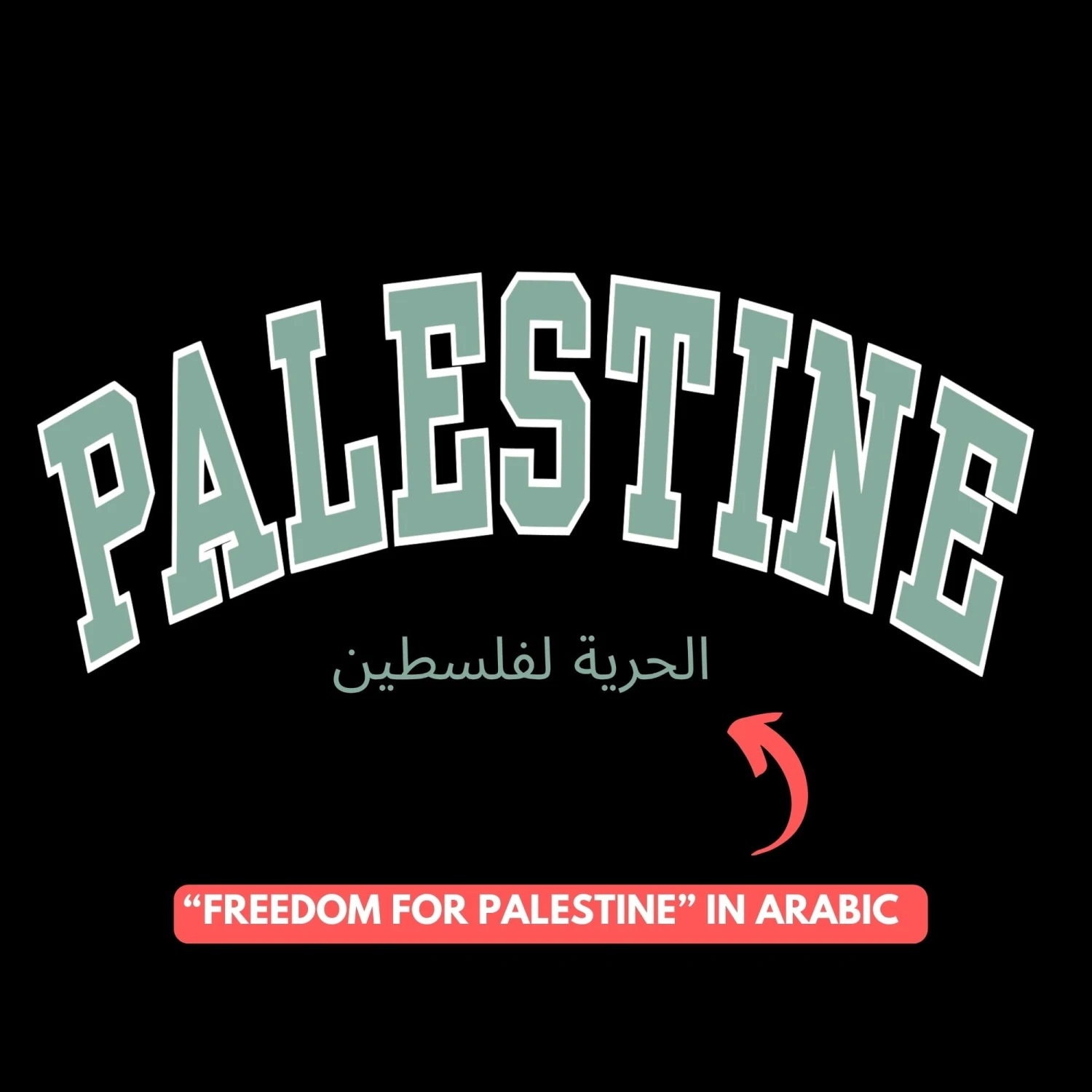Palestine Varsity Heavyweight Tee 8 Palestine Varsity Heavyweight Tee - Image 8