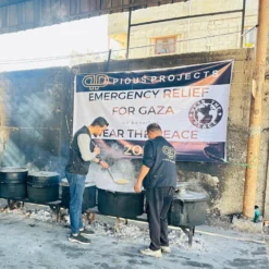 Melon Hair Clip (Two) -Aurora Style Shop when children sleep tee wear the peace 854968